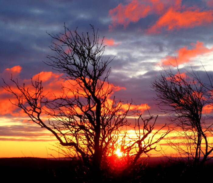 458369753_lune ou soleil (1)