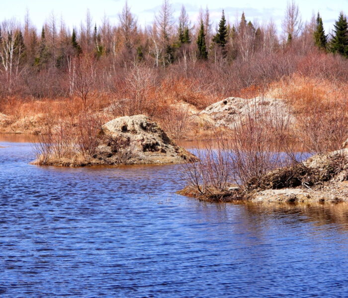 458405580_rivière (1)