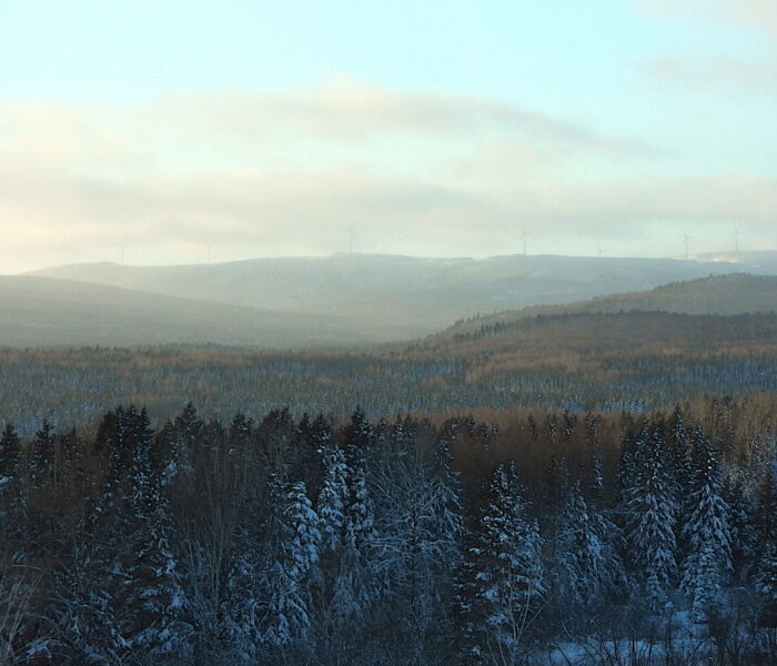 hiver (couverture arrière)