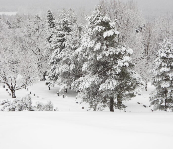 hiver4 (cimetière) (1)
