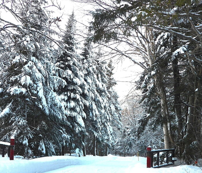 hver - barrière (1)